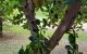 thum-9194835_pPCDzTbSJU_1747713518.jpg