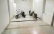 thum-9195141_L7jsC6EZOV_1747827442.jpg