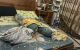 thum-9195162_brB1CYPqW3_1747845493.jpg