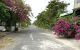 thum-m_lmoAcwIFuk_1747788993.jpg