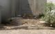 thum-9195261_ERXSpfTztw_1747899933.jpeg