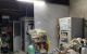 thum-9195466_7kTK3y9MEn_1747991739.JPG