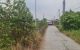 thum-9195488_Yyn3XWOAQ1_1747995836.jpg