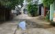 thum-9195532_jpR1VKs3Bn_1748027265.jpg
