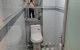 thum-9195635_OQDMmJlPfi_1748095724.JPG