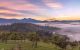 thum-9195757_lHIiQ5fxLA_1748224988.jpg