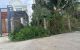 thum-9195896_YVLwsMN04D_1748271119.jpg