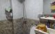 thum-9195949_6axL7zis4B_1748315727.jpg