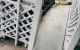 thum-9195990_KsUlA5CySh_1748330487.jpg