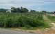 thum-9196049_V9zy27FtHA_1748352532.jpg