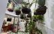 thum-9196069_axez2iFWA9_1748363490.jpg