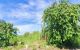 thum-m_KtYIQs93b6_1748334769.jpg