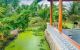 thum-m_Q5xE0M8glc_1748279930.jpg