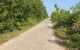 thum-9196074_OvdhJrM4ty_1748367318.jpg