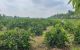 thum-9196074_fpOnhbiAY4_1748367330.jpg