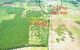 thum-9196134_opF4imPJjT_1748411786.jpg