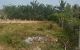 thum-9196210_dvEY0oChL1_1748430321.jpg