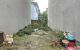 thum-m_pHuQo1PS8x_1748440697.jpg