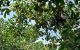 thum-9196266_u8BpYIA7iE_1748487692.jpg
