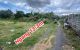 thum-9196329_G0dMALCyeq_1748506914.jpg