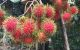 thum-9196409_9N4EeCiSkA_1748570407.jpg