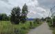 thum-9196454_081D6eFZby_1748586145.jpg