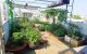 thum-9196507_ZmMpNIE3hW_1748599239.jpeg