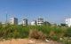 thum-m_5guEaGNBCm_1748570278.jpg