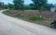 thum-m_NoA1U0d4zO_1748575328.jpg