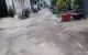thum-9196686_BRvsZPUy6w_1748781640.jpg