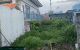 thum-m_TyJOc4HK7L_1748760098.jpg