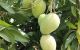 thum-9196746_rDJpvy8qZm_1748833153.jpg