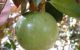 thum-m_NXWrIQqTk1_1748833216.jpg