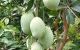 thum-m_d27SibVqTv_1748833147.jpg