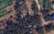thum-9196882_FdVSwP0hym_1748911512.JPG