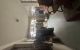 thum-9196886_4MTAnSGiws_1748913470.jpg