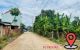 thum-9197099_4IDRPvEc8L_1749002702.jpg