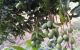 thum-9197103_tgMf3RhqKu_1749003746.jpg