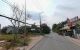 thum-9197126_xjasK8rpIX_1749008556.jpg