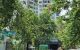 thum-m_6r8wLk924K_1749041783.jpg