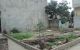 thum-m_kq6jyvDgaK_1749025319.JPG