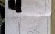 thum-m_umfDwR45le_1749006344.jpeg