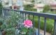 thum-9197781_1ItHRmOa9v_1749285159.jpg