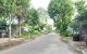 thum-9197979_yI3NQng16W_1749437435.jpg