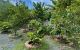 thum-9198277_QvTctWVIdY_1749597386.jpg