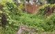 thum-9198433_G0baxtCrJw_1749648253.jpg