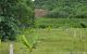 thum-9198447_yKQPbECBic_1749653202.jpg