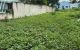 thum-9198479_jZbNhGW7aX_1749662790.jpg