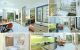 thum-9198517_rDIBZSH2su_1749698688.jpg