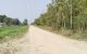 thum-9198525_kCad491fMy_1749701175.jpg